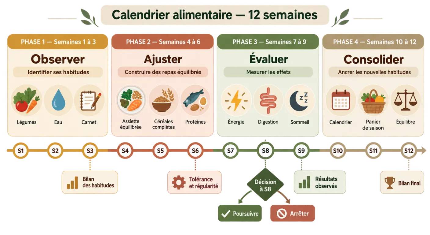 Infographie du calendrier d'une cure de probiotiques sur douze semaines