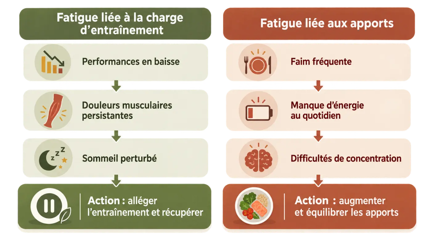 Schéma comparant les signes d'une fatigue d'entraînement et d'une fatigue liée aux apports alimentaires