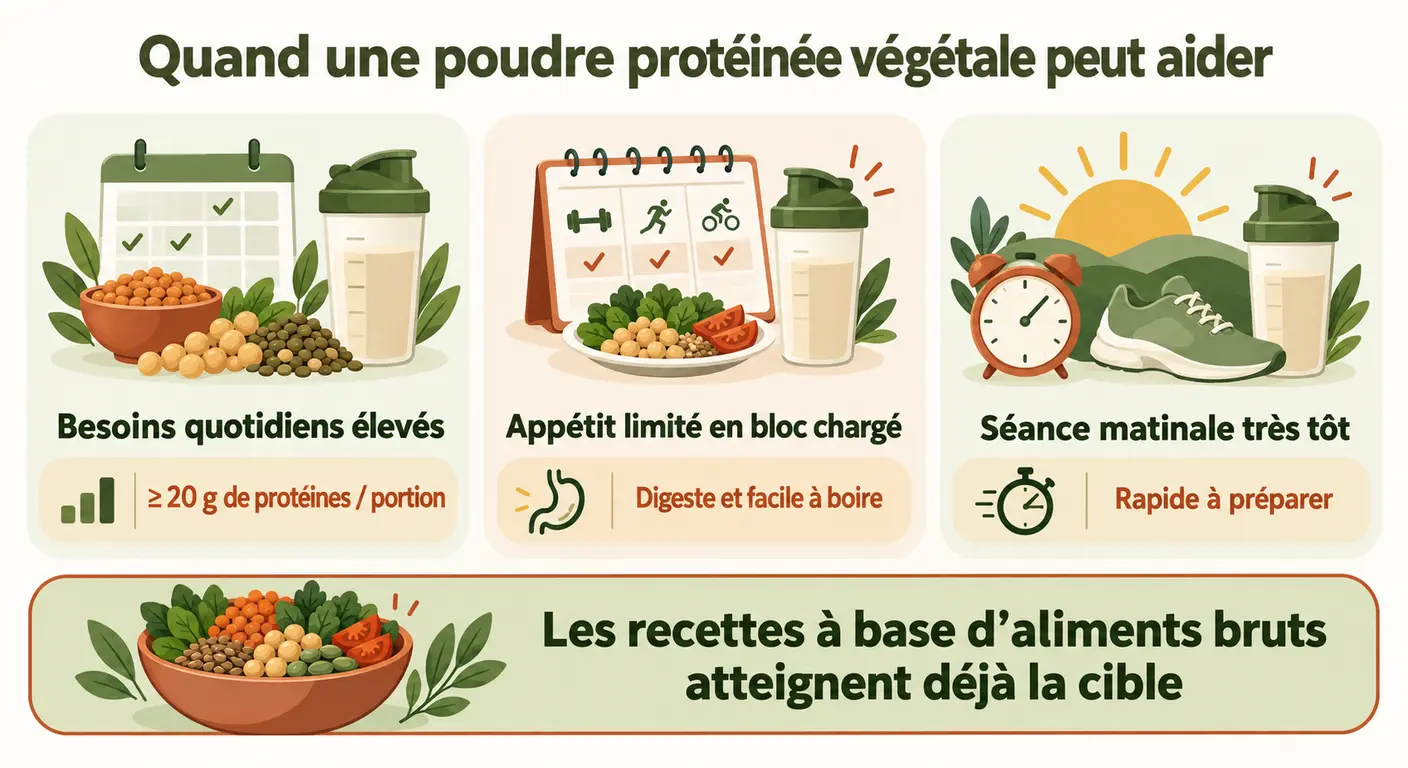 Les trois cas d'usage d'une poudre protéinée végétale et les critères de choix